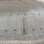 Talus clouté - Madjid